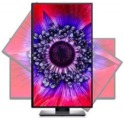 Монитор Dell U2520D черный