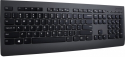 Клавиатура Lenovo Professional черный беспроводная