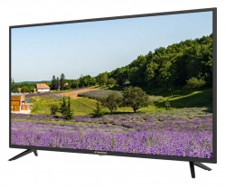 Телевизор LED Starwind SW-LED43UA403 черный