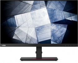 Монитор Lenovo ThinkVision P24h-20 черный