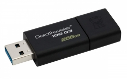 Флеш Диск Kingston 256Gb DT 100 G3 DT100G3/256GB USB3.0 черный