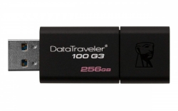 Флеш Диск Kingston 256Gb DT 100 G3 DT100G3/256GB USB3.0 черный
