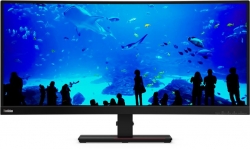 Монитор Lenovo ThinkVision T34w-20 черный