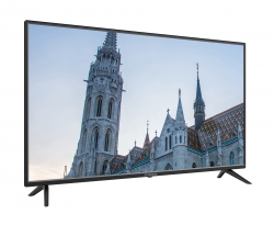 Телевизор LED Starwind SW-LED40SA303 черный