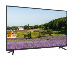 Телевизор LED Starwind SW-LED43SA303 черный